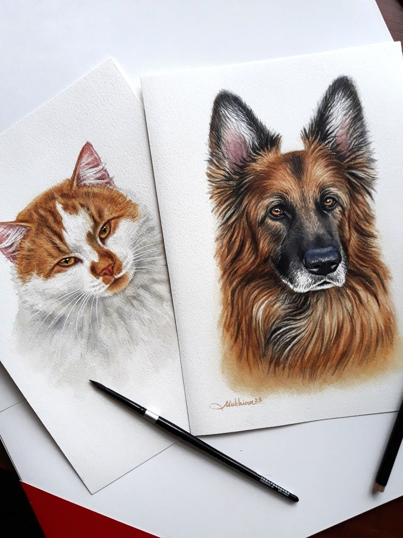 May include: Two watercolor paintings, one of a ginger cat and one of a German Shepherd dog. The cat is looking to the right, and the dog is looking straight ahead. Both paintings are on white paper.