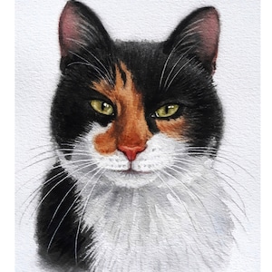 Original pet portrait custom hand painted, cat portrait painting watercolor from photo