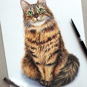 Ritratto di gatto personalizzato da foto, dipinto di un animale domestico personalizzato ad acquerello, ritratto di gatto originale, disegno di un animale domestico dipinto a mano, ritratto commemorativo di un gatto
