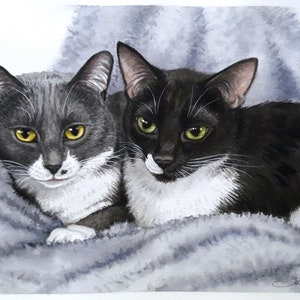 May include: Two cats, one gray and white and one black and white, are lying on a gray blanket. They are both looking at the camera.
