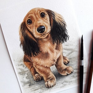 May include: Watercolor painting of a brown and black dachshund puppy looking up with big brown eyes. The puppy is sitting on a light gray background.