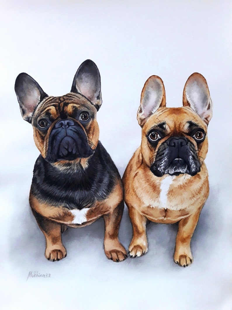 May include: Two French Bulldogs, one brown and black, the other brown, are sitting side-by-side and looking at the camera. They are both painted in a watercolor style.