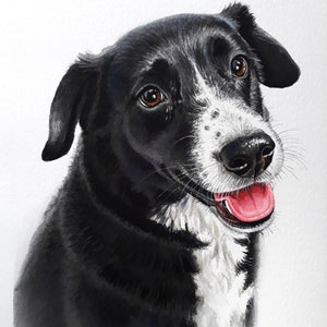 May include: Watercolor painting of a black and white dog with brown eyes. The dog is looking to the right and has its tongue sticking out. The dog's fur is painted in a realistic style.