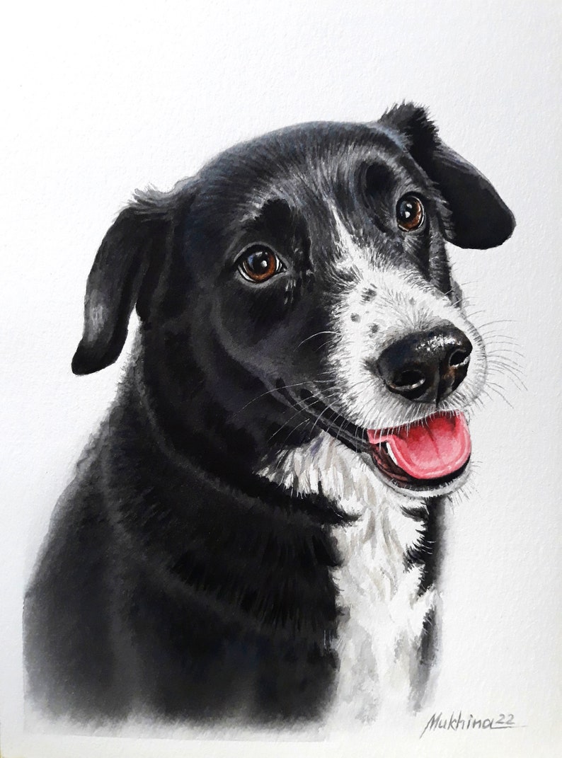May include: Watercolor painting of a black and white dog with brown eyes. The dog is looking to the right and has its tongue sticking out. The dog's fur is painted in a realistic style.