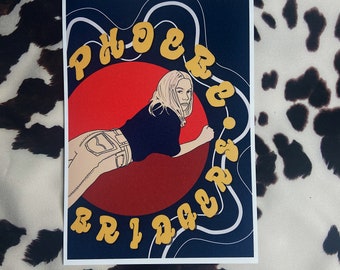 2C044 Music Singer Star Phoebe Bridgers Deco Print Art Silk Poster