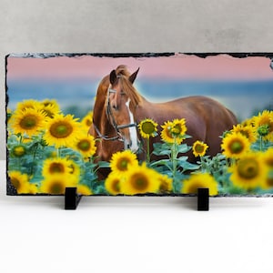 May include: A brown horse stands in a field of yellow sunflowers. The horse is wearing a black bridle and has a pink sunset in the background.