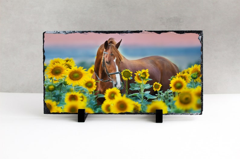May include: A brown horse stands in a field of yellow sunflowers. The horse is wearing a black bridle and has a pink sunset in the background.