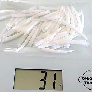 Peut inclure: Gros plan sur une balance numérique affichant 31 grammes. Un sac de coquillages blancs, fins et longs est sur la balance.