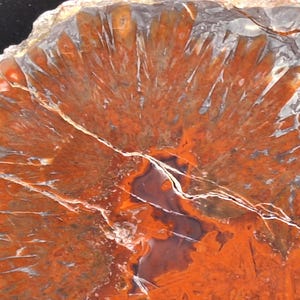 May include: Close-up of a polished stone with a striking pattern. The stone features a vibrant orange and red color palette with white and gray accents. The intricate design resembles a natural, organic formation, with a central dark area.