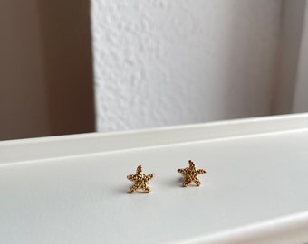 Seestern ohrstecker - Der Vergleichssieger der Redaktion