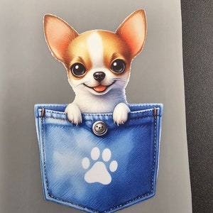 DTF Heat Transfer, Collie In A Pocket, Ready To Press