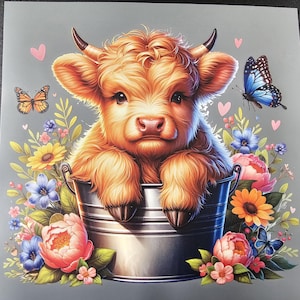 DTF Heat Transfer, Highland Cow Transfer, Ready To Press