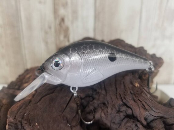 Hand Painted Silver/black Shad Fishing Lure Crank Bait -  Canada