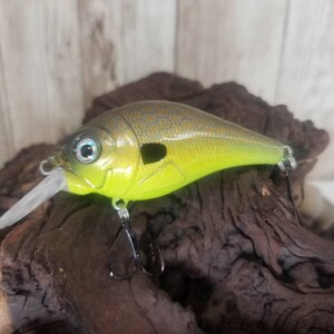 Hand Painted Chartreuse/Copper Shad Fishing Lure Crank Bait