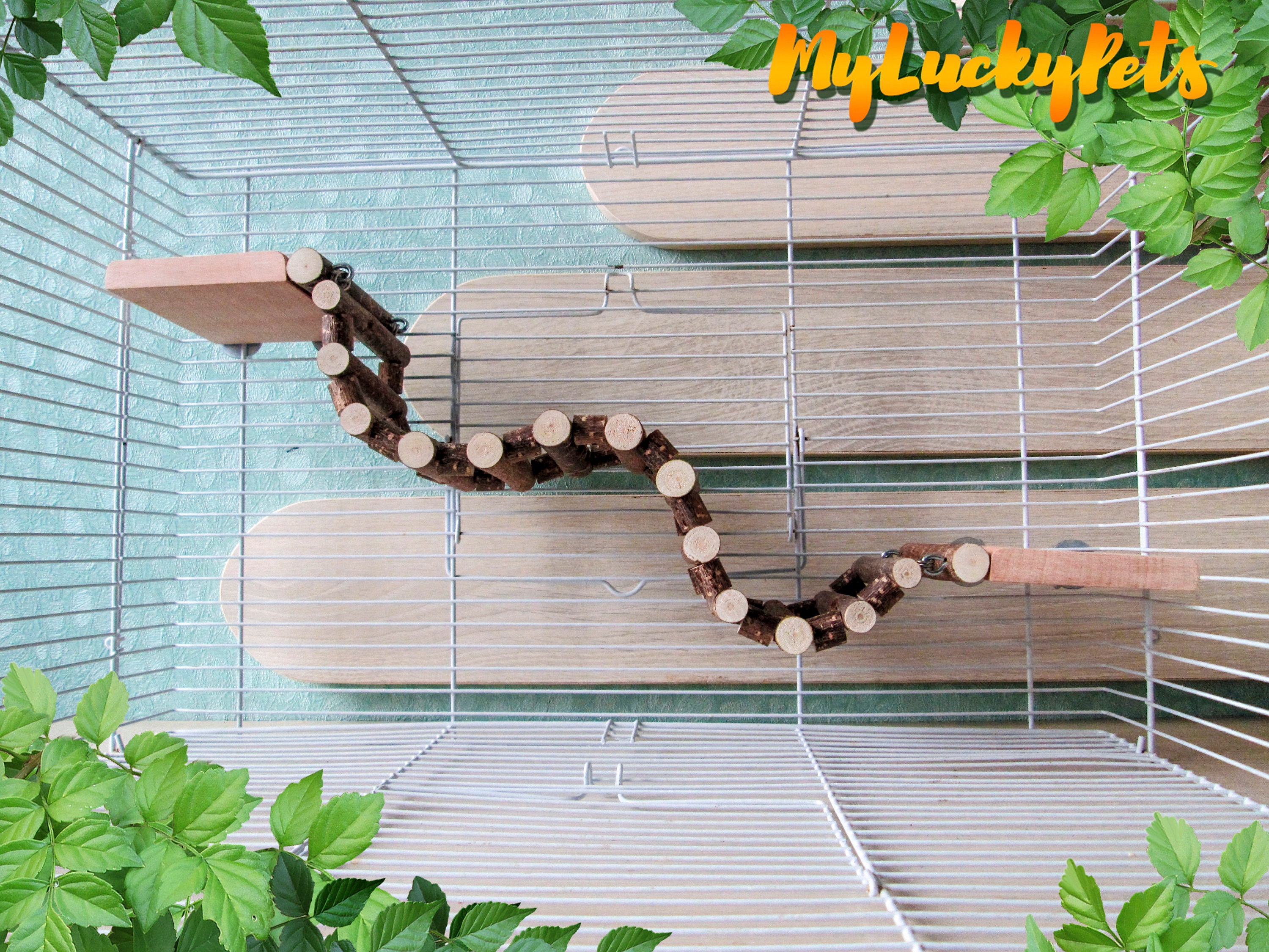 Hamster/Rat ladder 2 platforms. Ideal for DeguBird Parrot Etsy