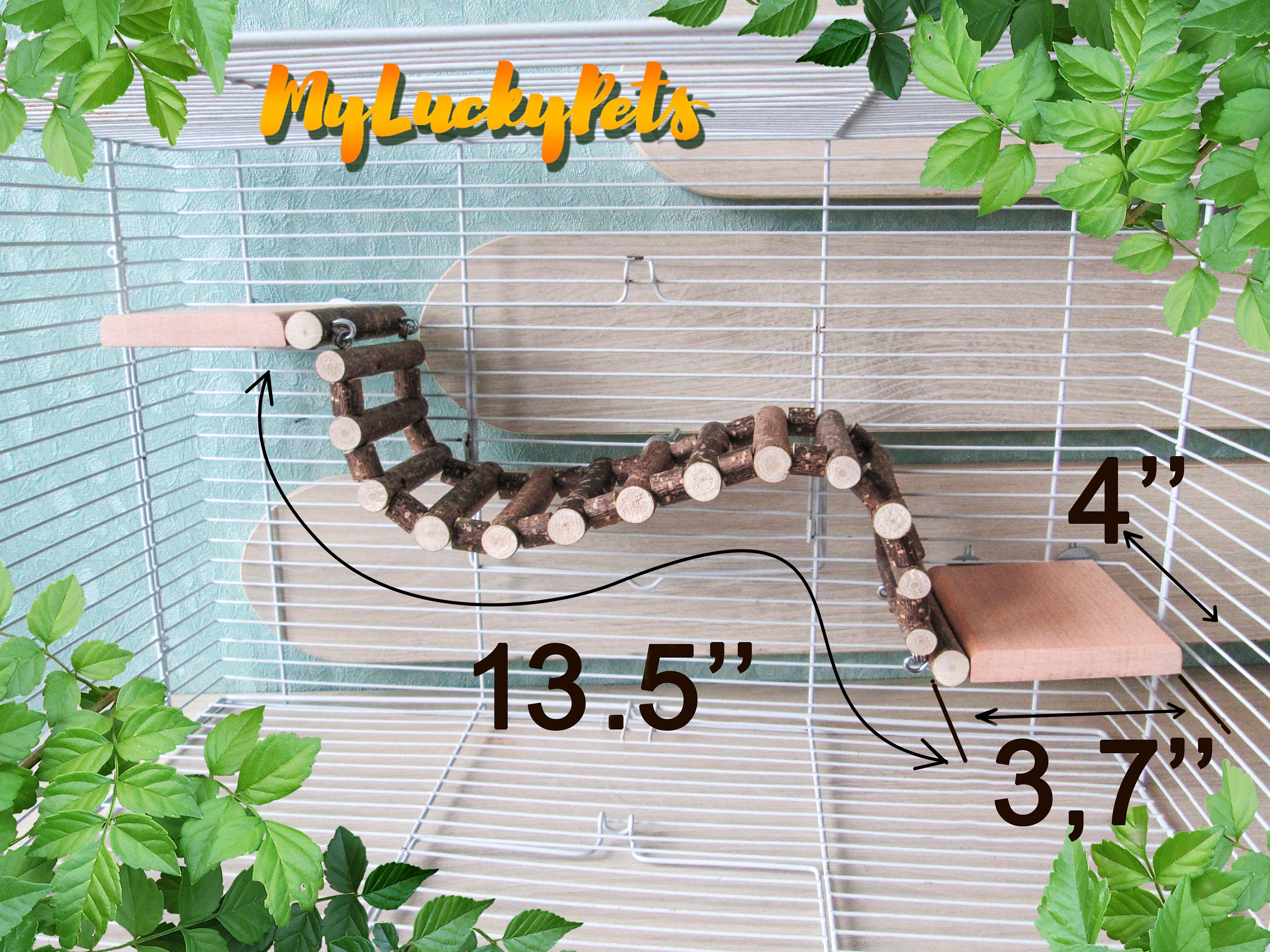 Hamster/Rat ladder 2 platforms. Ideal for DeguBird Parrot Etsy