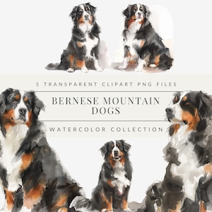 Berner Sennenhund Aquarell Hund Clipart Bundle, Aquarell Hunde, süße Hunderasse Illustration, Haustiere Clipart DIY, kommerzielle Nutzung