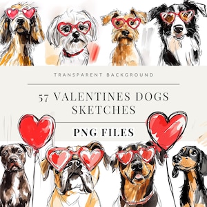 Bundle de cliparts chien, clipart chiot chien Saint-Valentin, aquarelle chiens, illustration mignonne de race de chien, clipart animaux de compagnie bricolage, usage Commercial
