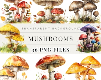 Paquete de imágenes prediseñadas de setas de acuarela, gráficos forestales, ilustraciones digitales de la naturaleza de setas lindas PNG para uso comercial Scrapbooking