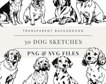 May include: A set of 30 black and white dog sketches in PNG and SVG file formats. The sketches feature various dog breeds, including a pug, a French bulldog, a bloodhound, and a poodle.
