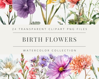 Könnte beinhalten: Eine Sammlung von 24 Aquarell-Geburtsblumen-Clipart-Bildern. Die Blumen sind in einer Reihe angeordnet und umfassen eine Vielzahl von Farben, wie z. B. Pink, Lila, Gelb und Weiß. Die Blumen sind alle in voller Blüte und haben ein realistisches Aussehen.