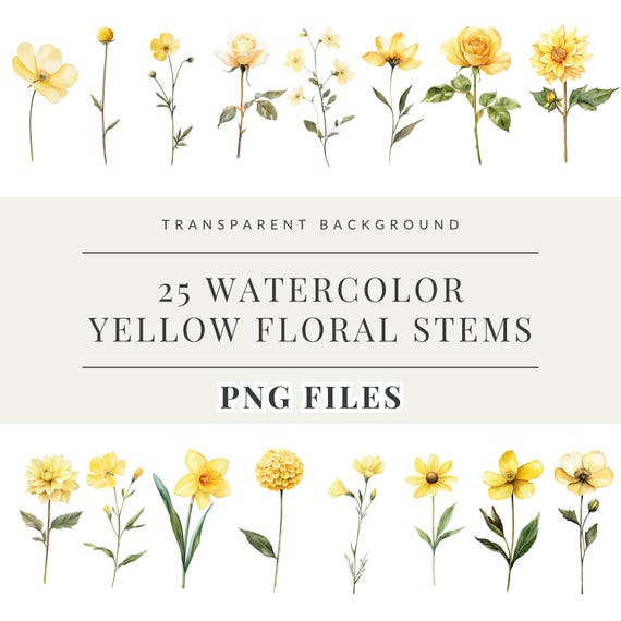 Yellow Watercolor Flowers Clipart, Flower Stem Clipart, Printable Delicate Watercolour clipart, Digital download, Paper craft, junk journal