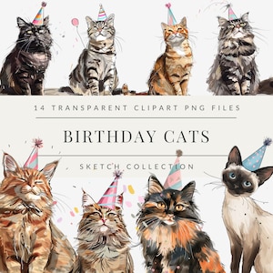 Bundle de cliparts chat, anniversaire chat chaton clipart, chats aquarelles, illustration de chat mignon, animaux de compagnie clipart bricolage, utilisé dans le commerce, chat grincheux png