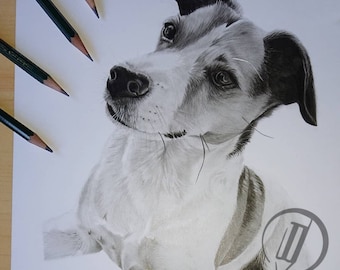 Retrato personalizado de perro a lápiz a partir de una foto / Dibujo realista de mascotas / Regalo conmemorativo dibujado a mano