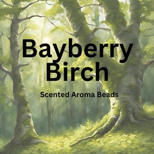 Bayberry Birch Scented Aroma Beads: Car Air Freshener Supplies