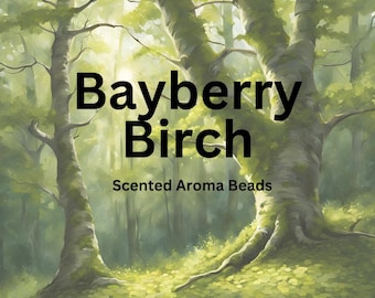 Bayberry Birch Scented Aroma Beads: Car Air Freshener Supplies