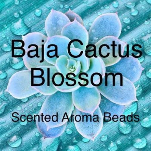 Flannel Scented Premium Aroma Beads for Air Fresheners Car Etsy