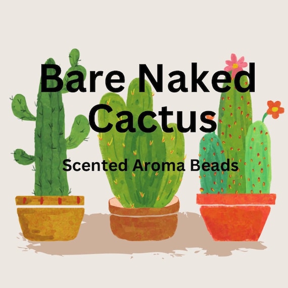 Scented Cactus Aroma Beads: Tropical Car Air Freshener - Etsy