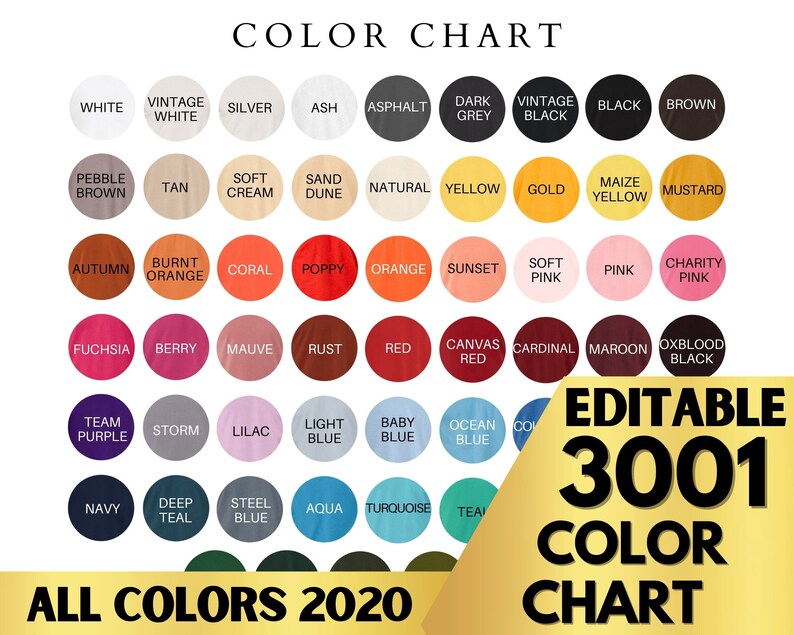 Bella Canvas 3001 Color Chart Mockup Bella Canvas Mockup | Etsy