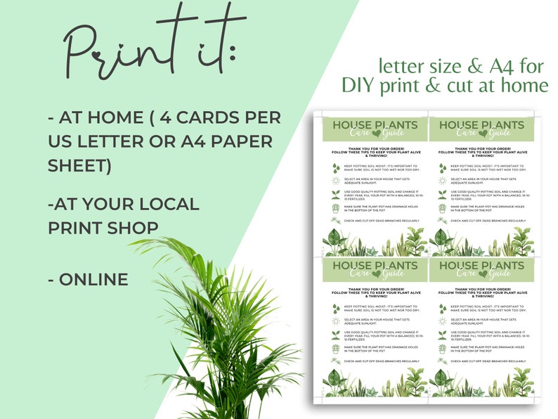 Succulent Care Instructions Printable Printable World Holiday