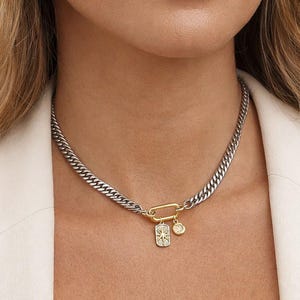 Mixed metal Curb Chain Choker with Gold Charms and Functional Clasp, Two-Tone Choker Necklace, Stainless Steel Statement Jewelry for Women,