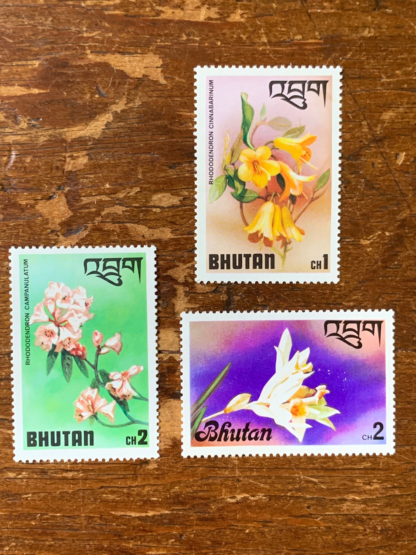Bhutan 3 Original Vintage Postage Stamps 1970s Florals Etsy