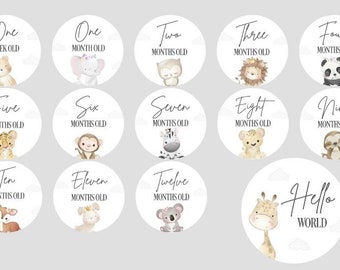 Animal milestone Discs