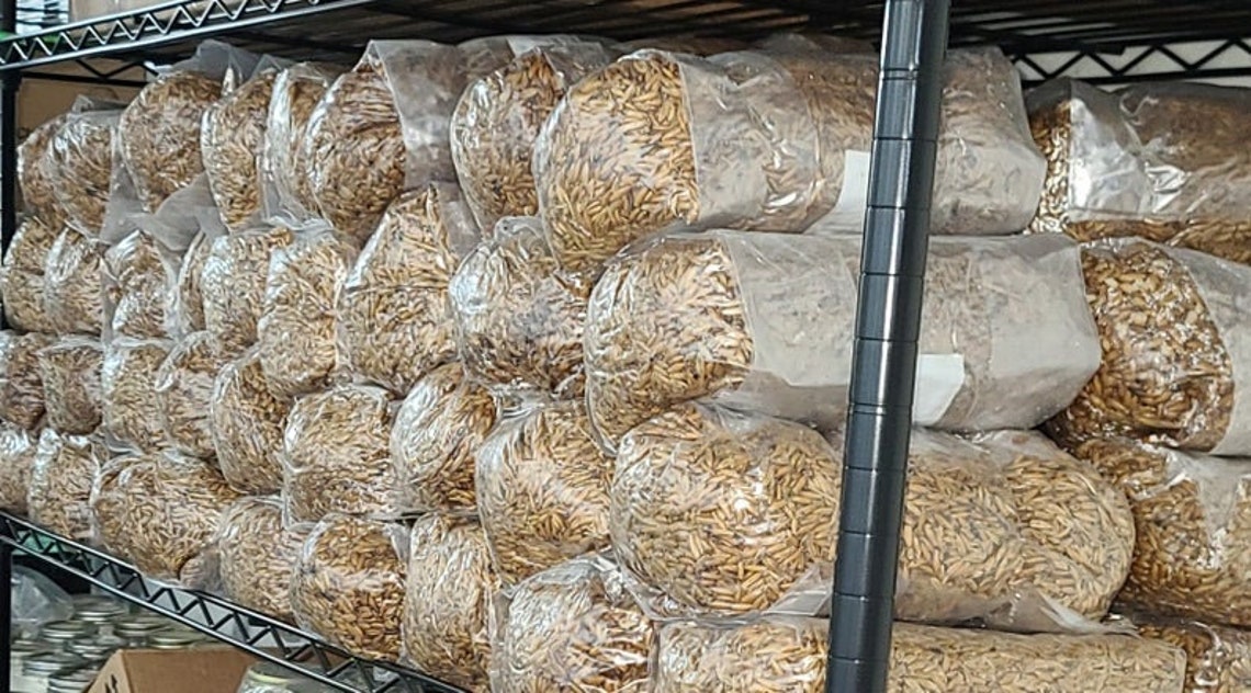 MycoGrowCo 5lb Grain Spawn Bags With Correct .2 Micron Filter Etsy
