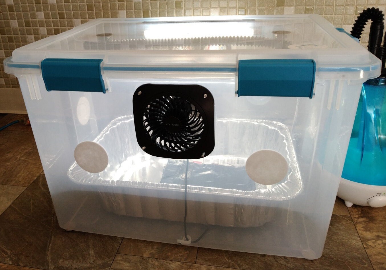 Fully Automated Fruiting Chamber Makes Growing EASY Mists Etsy UK