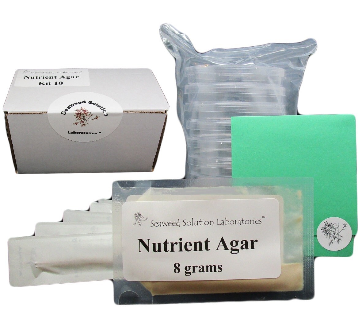DIY AGAR KIT...Make your own agar dishes at home Comes with Etsy