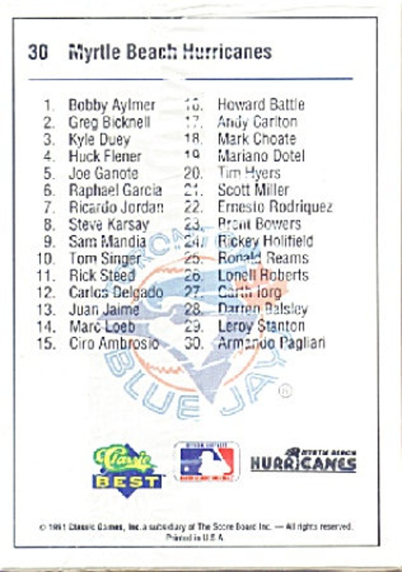 1991 Myrtle Beach Hurricanes Minor League Baseball Team Full Etsy