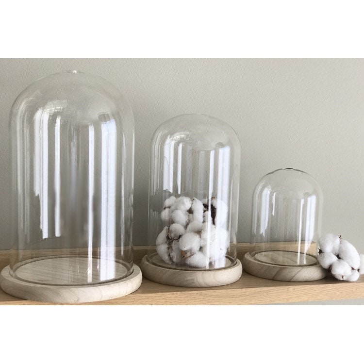 Cloche en Verre Différent Diamètre Disponible