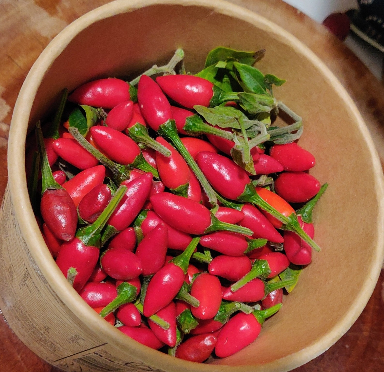 Pequin Peppers Seeds Grove Pepper Organic Capsicum Annum Etsy