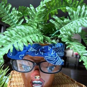 May include: A whimsical terracotta flower pot with a painted face, wearing black-framed glasses and a blue bandana. The pot is filled with vibrant green fern plants. The face has painted eyes, a nose, and red lips.