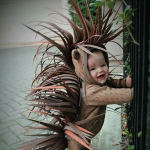 Porcupine Halloween Costume Custom Made Woodland Creature Animal Toddler Kids