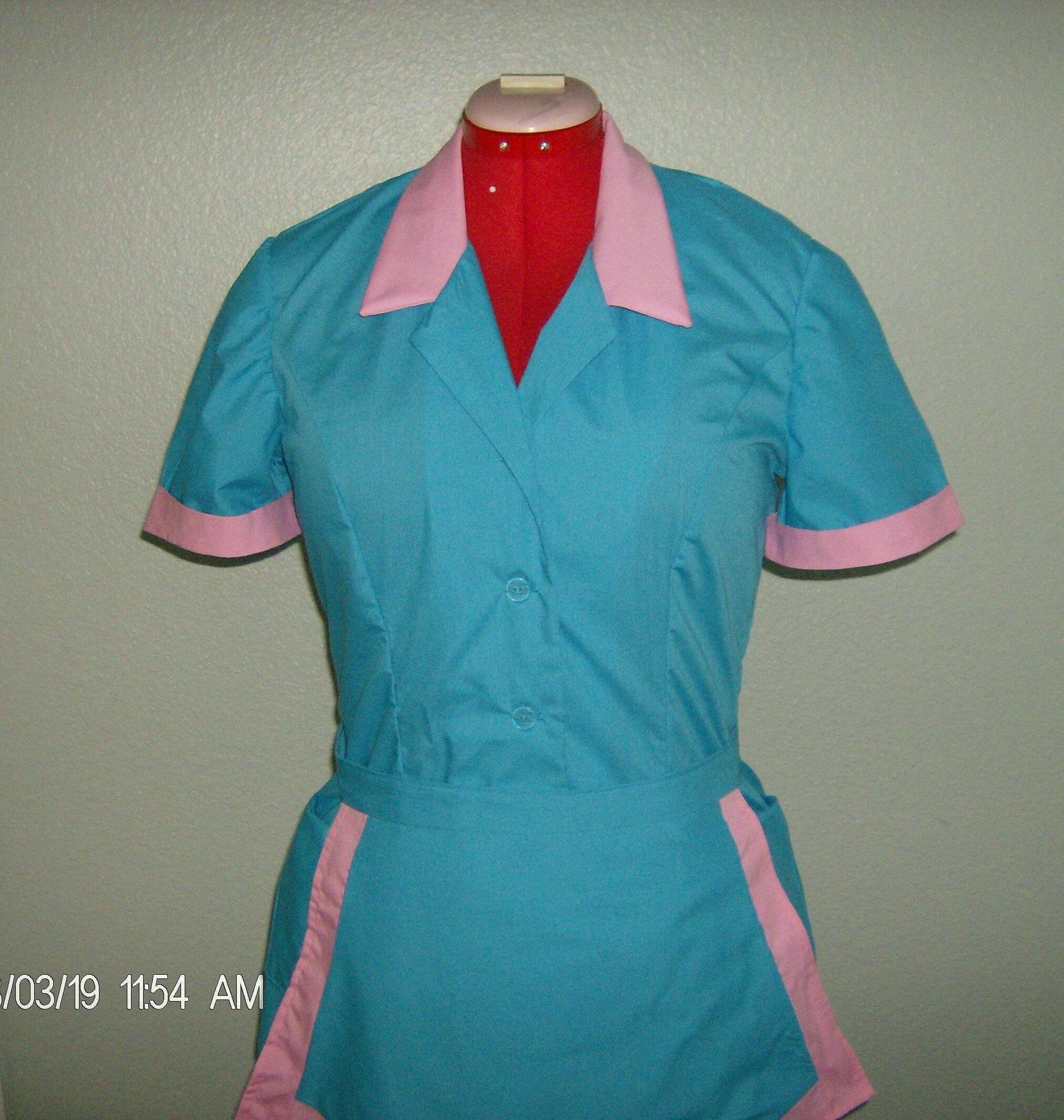retro waitress costume