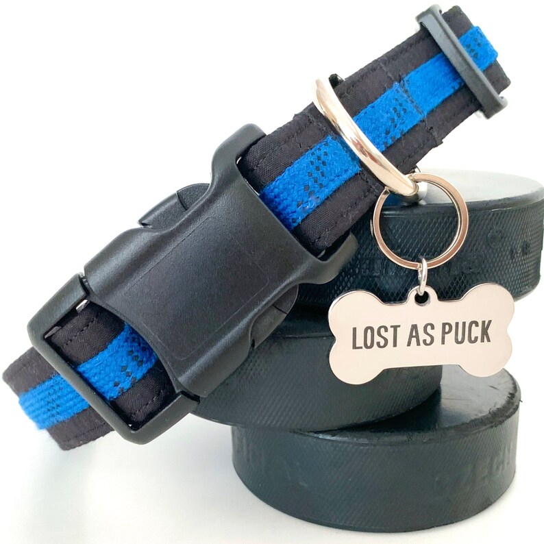 May include: Black and blue dog collar with a silver bone-shaped tag that reads "LOST AS PUCK".