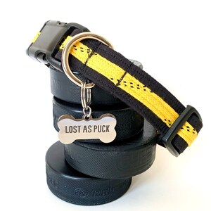 May include: Black and yellow dog collar with a bone-shaped tag that reads "LOST AS PUCK".