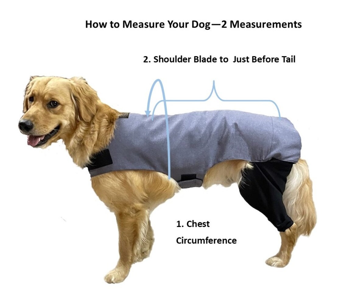 Dog Surgery Recovery Suit with Leg Sleeves Cone Alternative Etsy