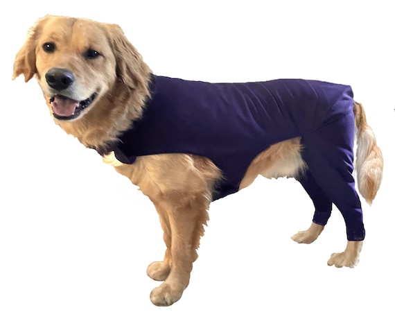 Dog recovery suit with legs hotsell